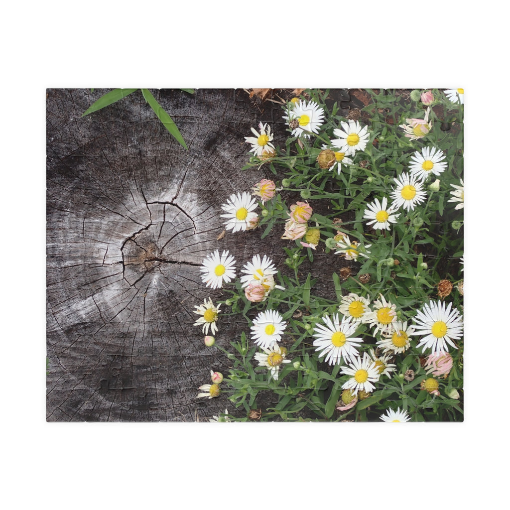 Daisy Garden Puzzle — Rustic Wood & Wildflower Jigsaw (110–1014 pcs)