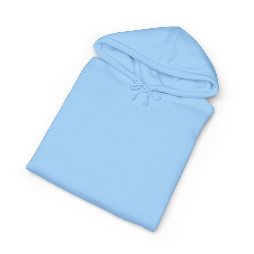 Hoodie — "Today's Not the Day" Highland Cow Graphic Hoodie