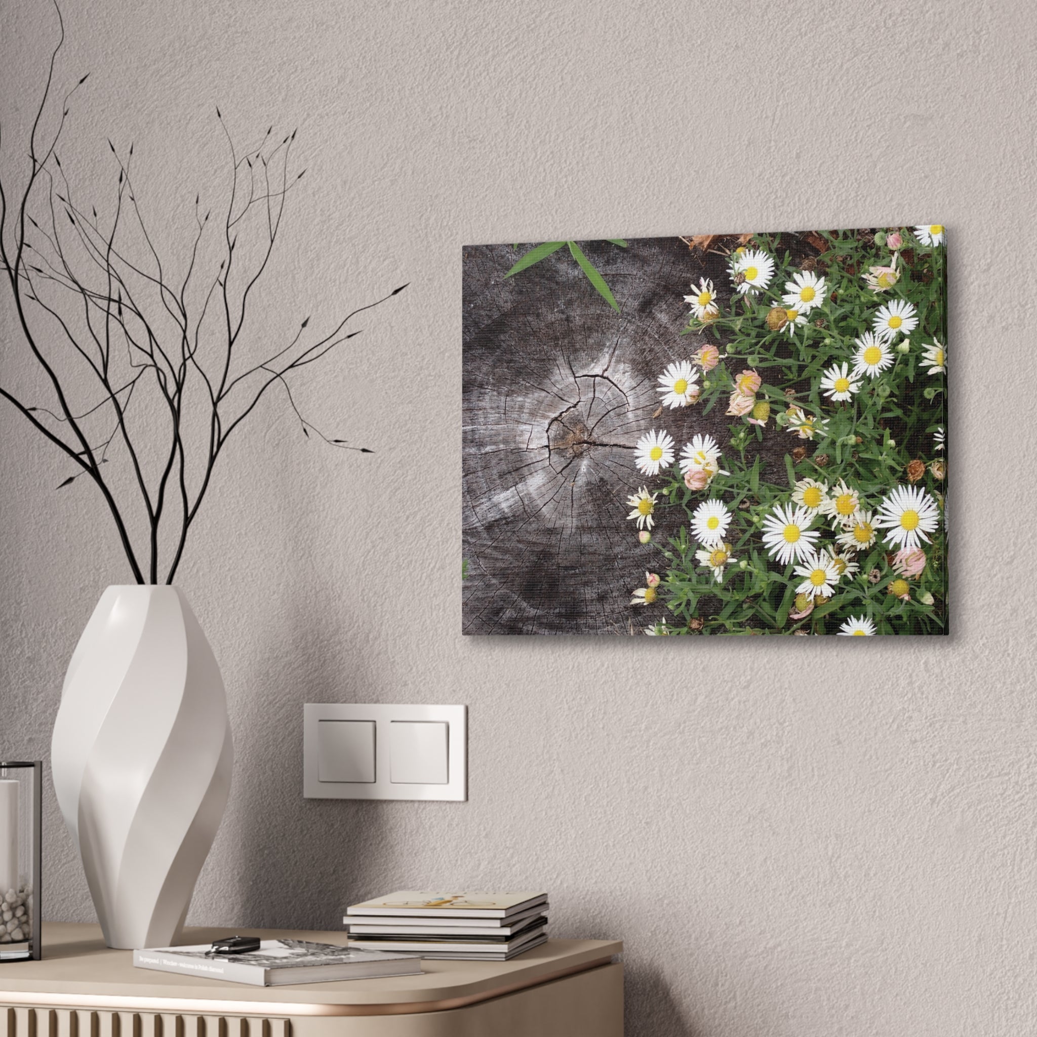 Daisies on Weathered Wood Canvas Wall Art