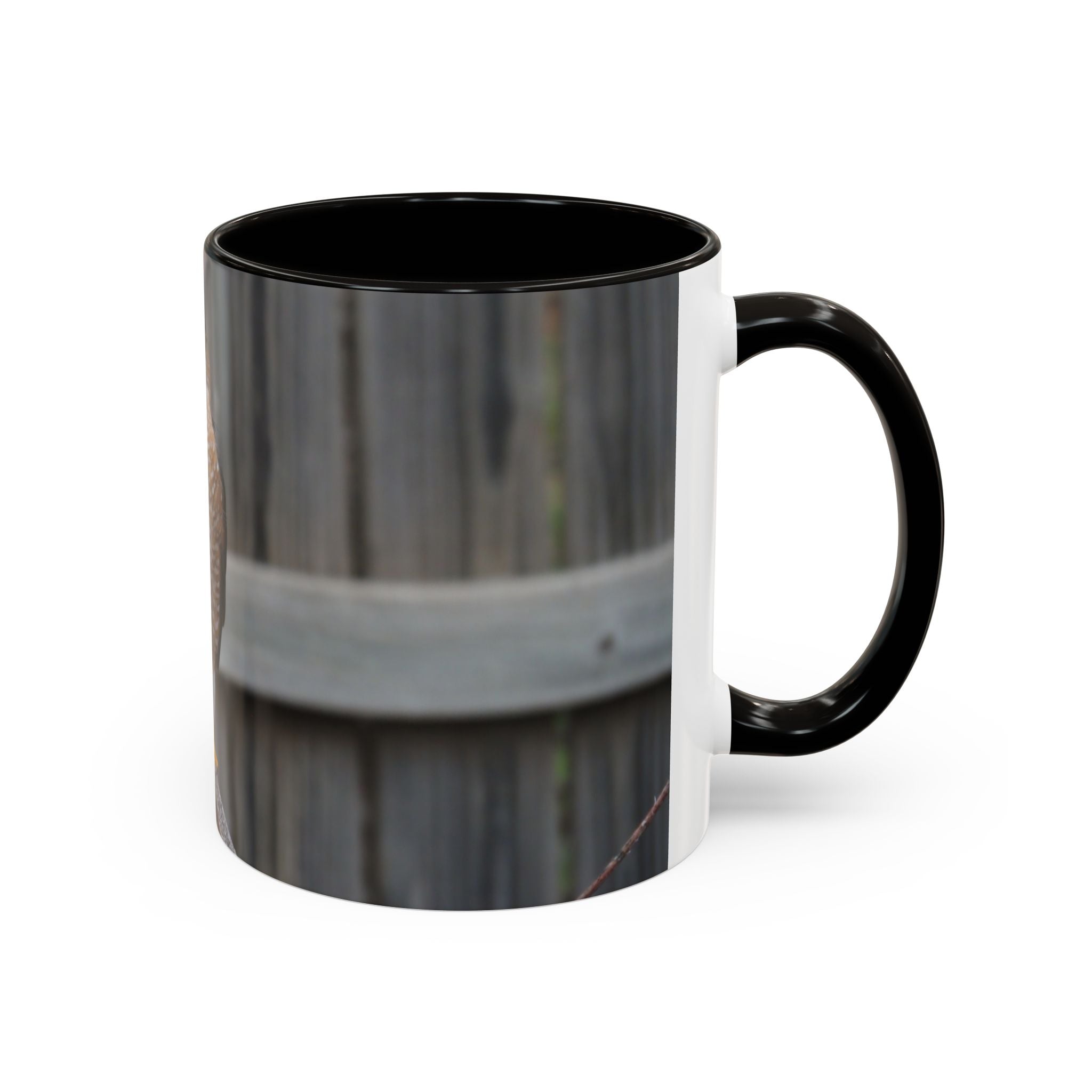 Hawk Photo Mug (11oz/15oz) — Wildlife Coffee Cup with Sharp-Shinned Hawk Image