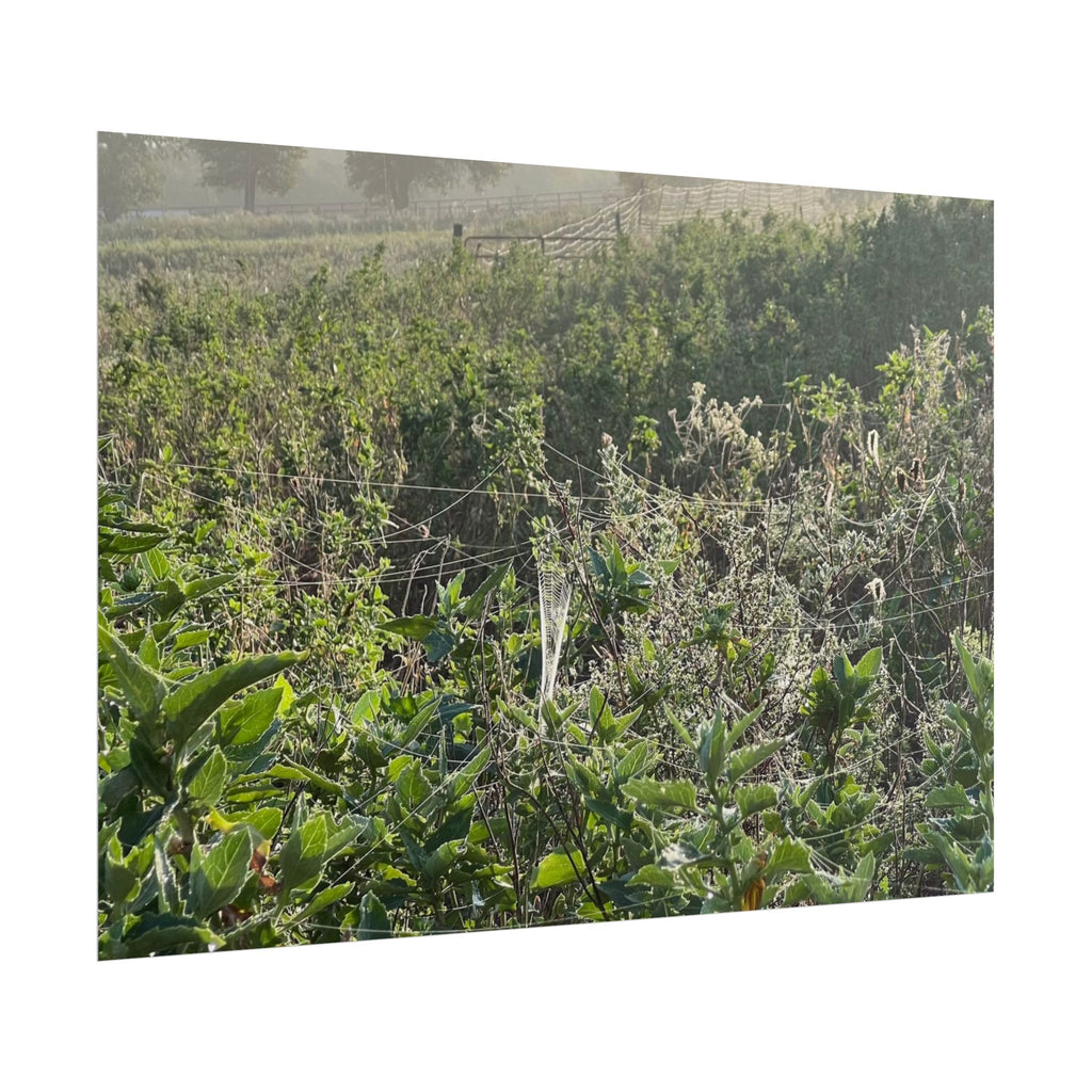 Morning Meadow Rolled Poster — Misty Wildflower Landscape Wall Art