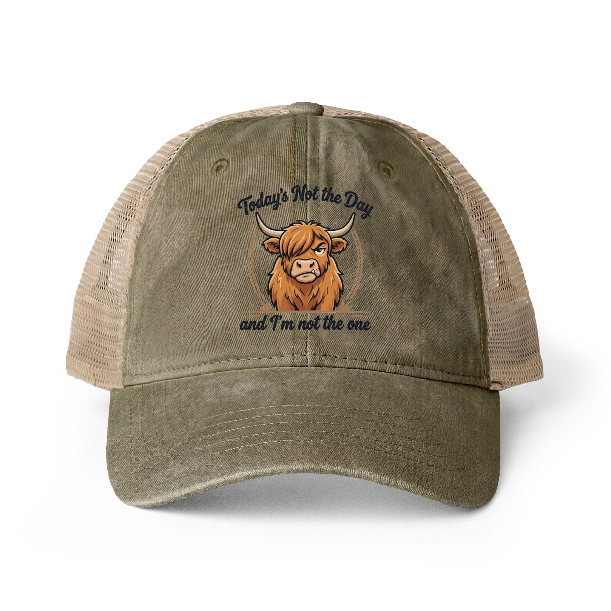 Todays not the Day Women's Washed Mesh-Back Cap