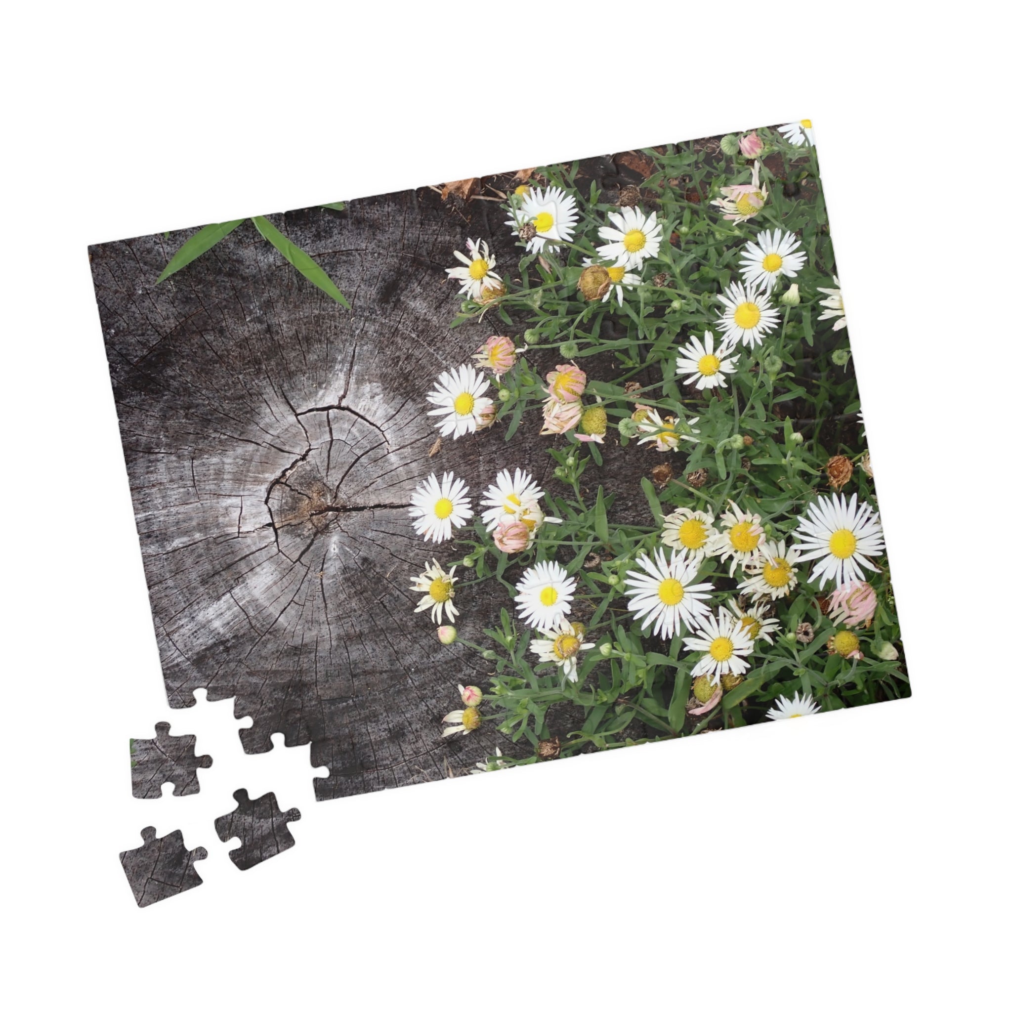 Daisy Garden Puzzle — Rustic Wood & Wildflower Jigsaw (110–1014 pcs)