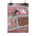 Lizard on Brick Wall Rolled Poster — Nature Photography Wall Art