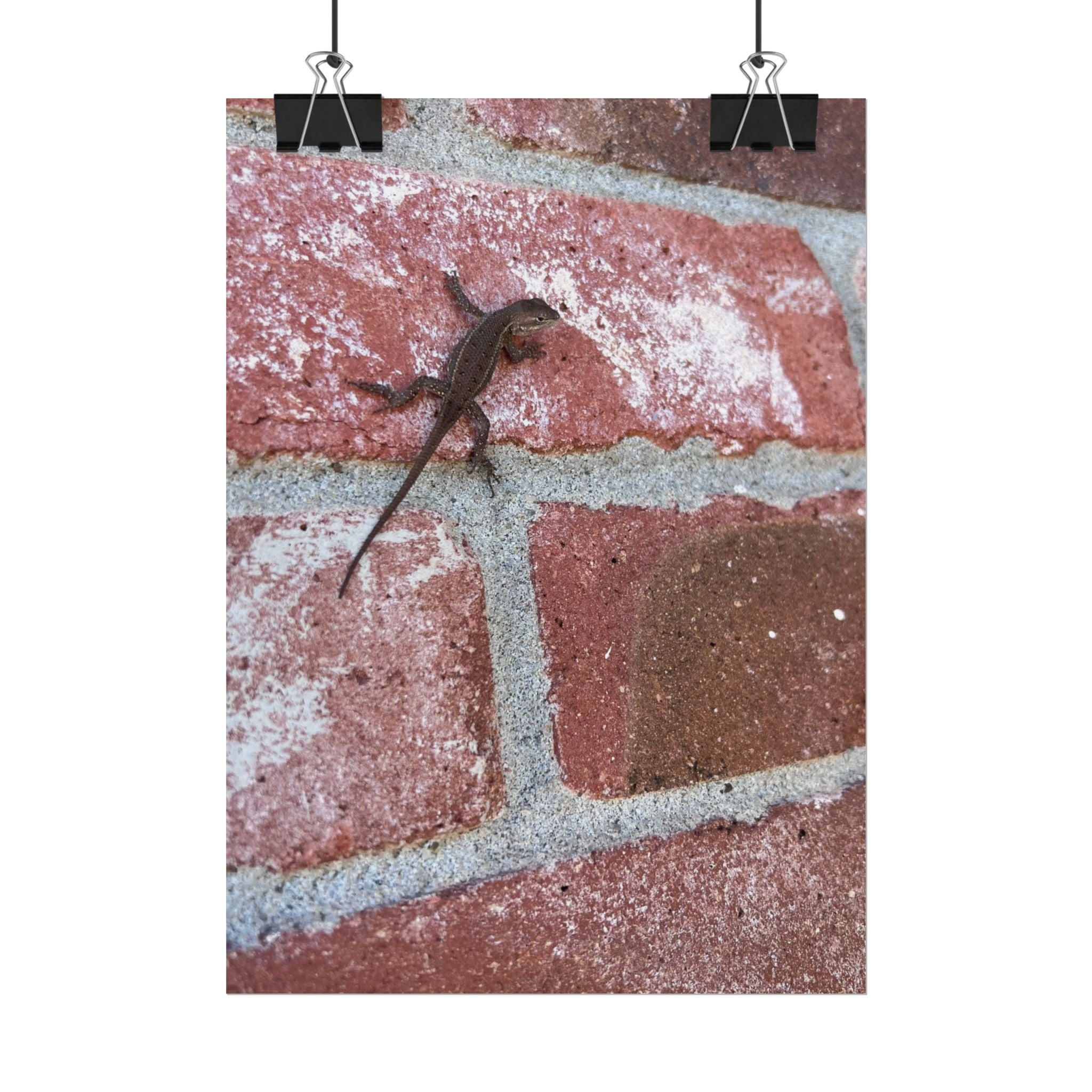 Lizard on Brick Wall Rolled Poster — Nature Photography Wall Art