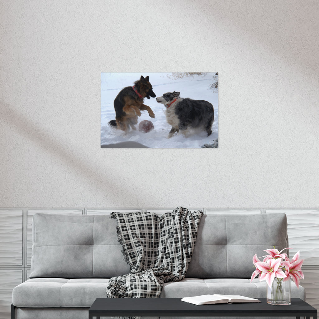 Dog Playful Winter Photo Poster — Two Dogs Playing in Snow Wall Art