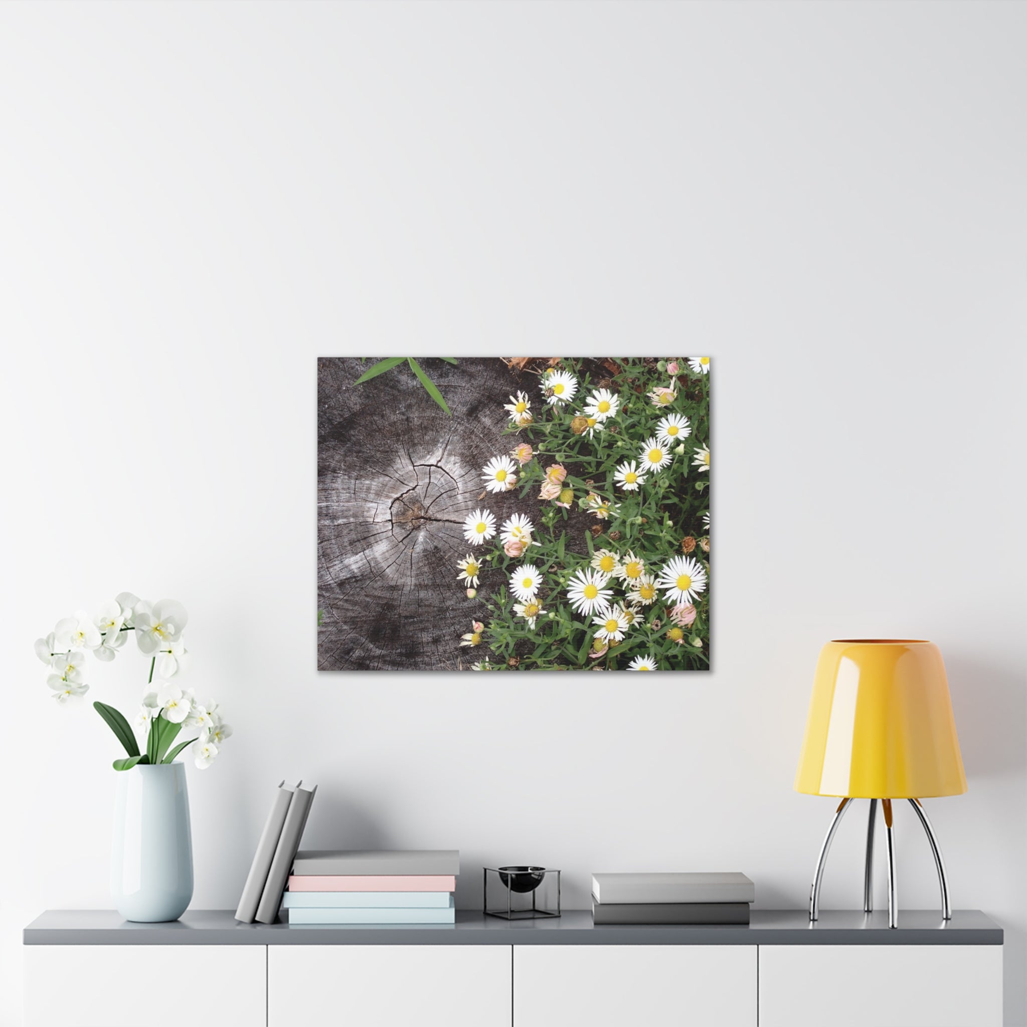 Daisies on Weathered Wood Canvas Wall Art