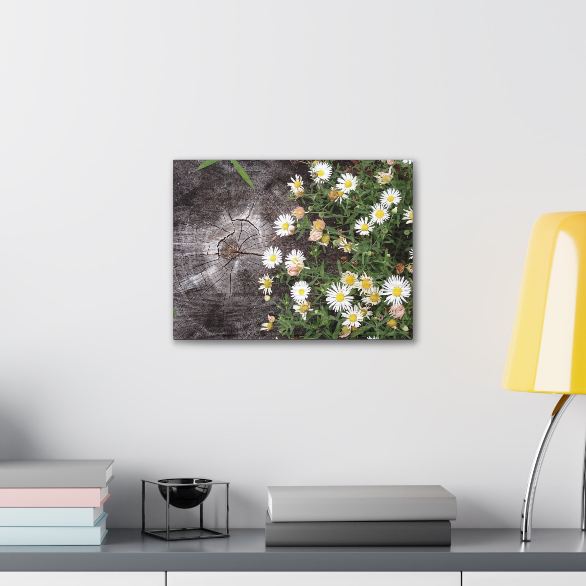 Daisies on Weathered Wood Canvas Wall Art