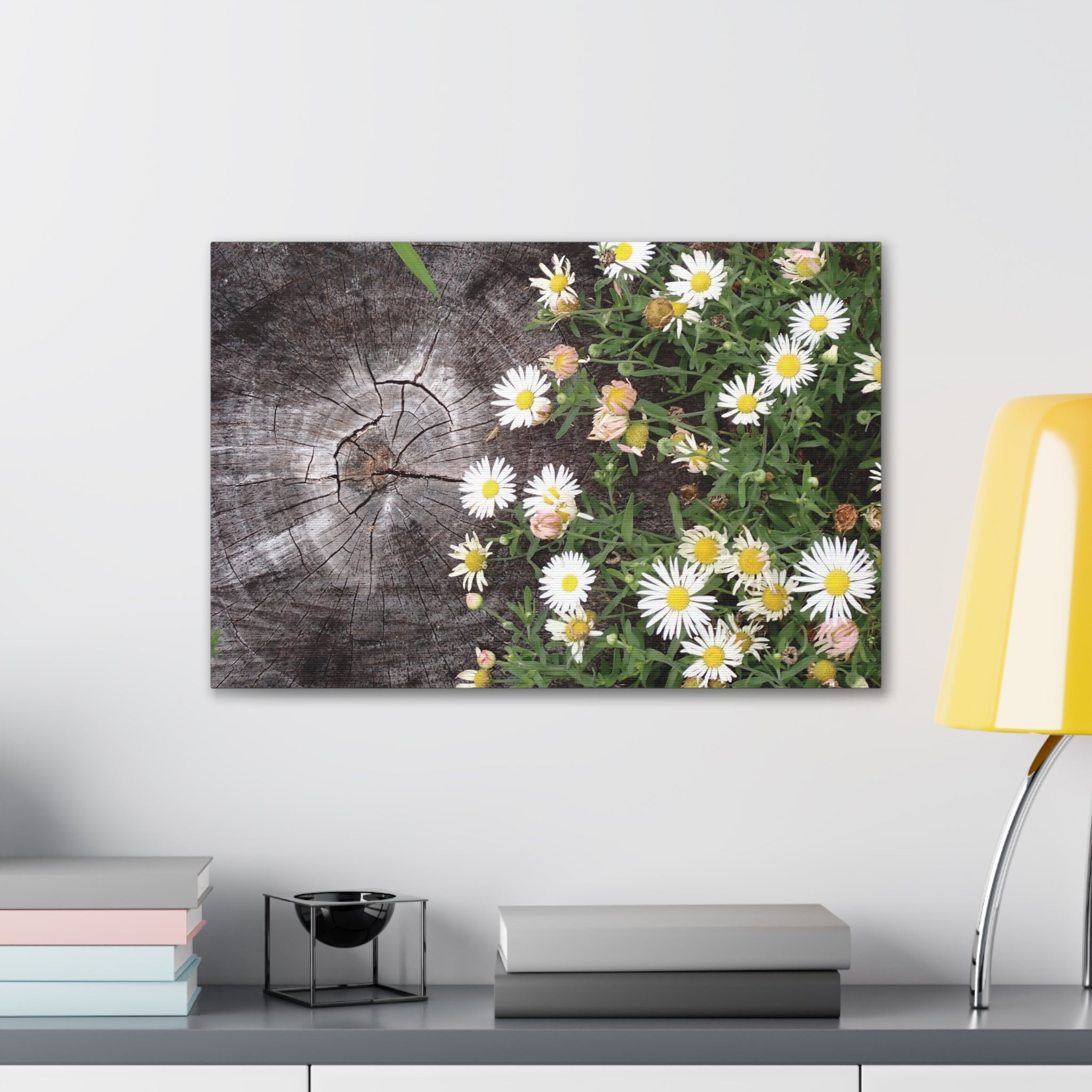 Daisies on Weathered Wood Canvas Wall Art