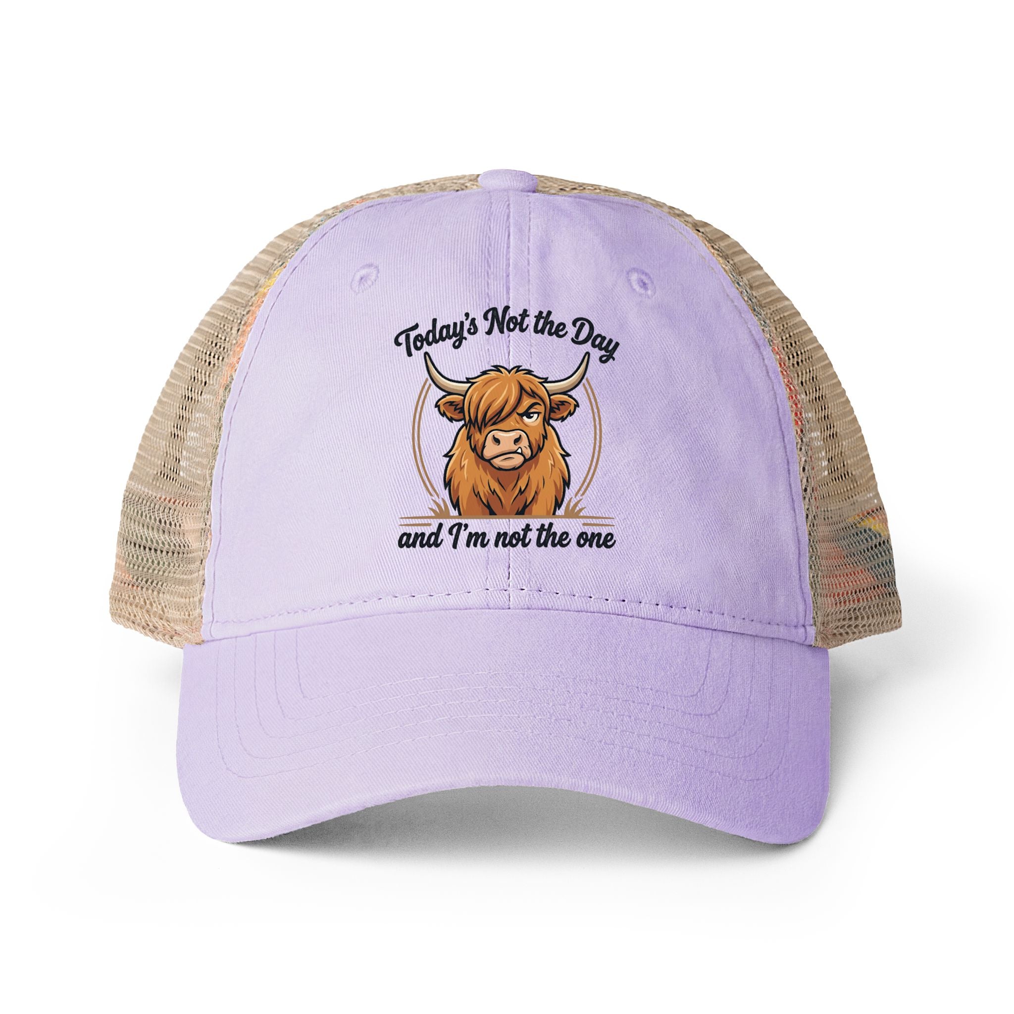 Todays not the Day Women's Washed Mesh-Back Cap