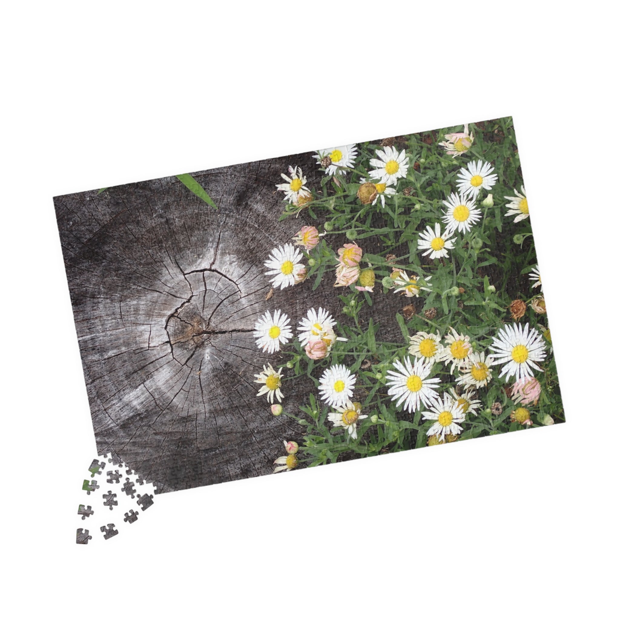 Daisy Garden Puzzle — Rustic Wood & Wildflower Jigsaw (110–1014 pcs)