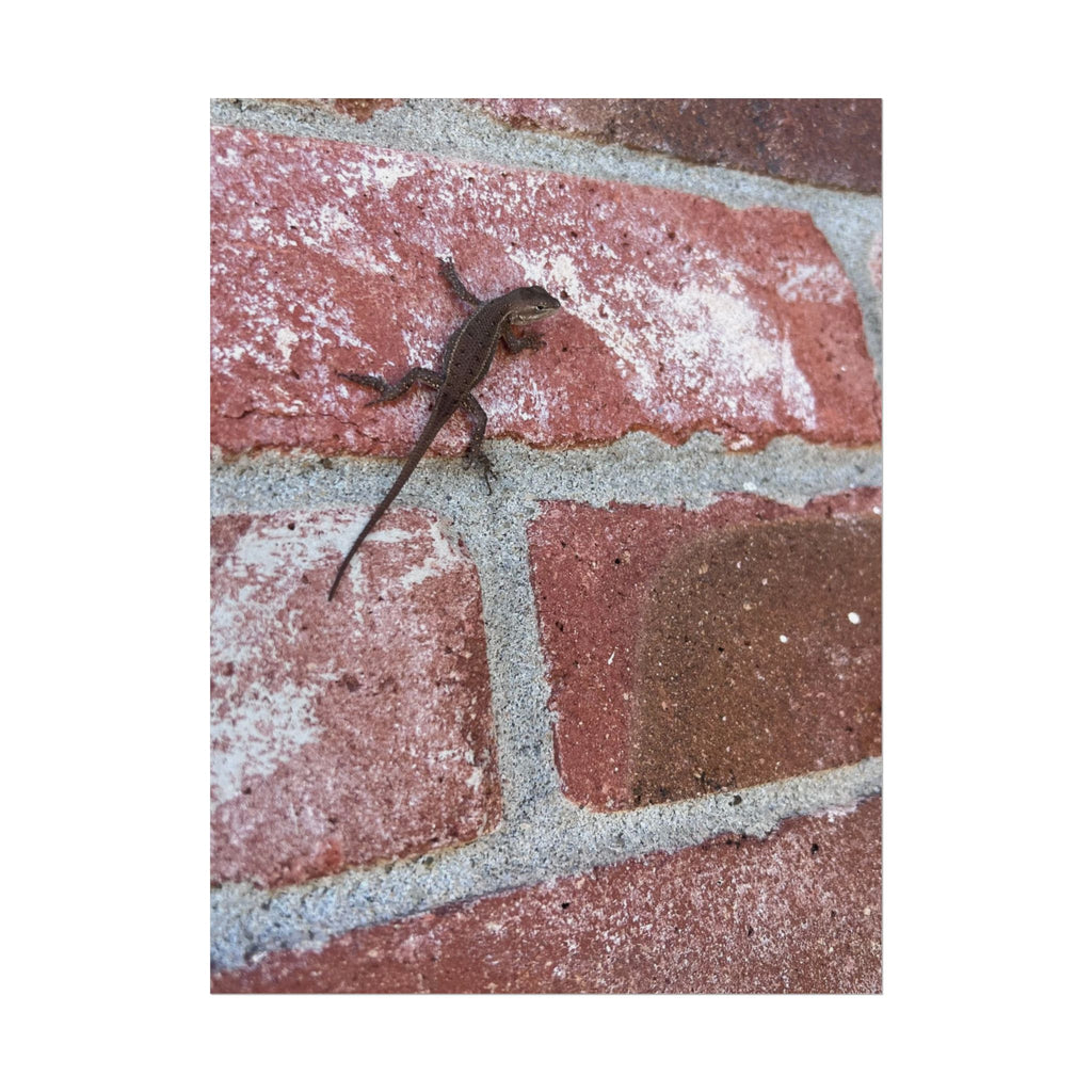Lizard on Brick Wall Rolled Poster — Nature Photography Wall Art