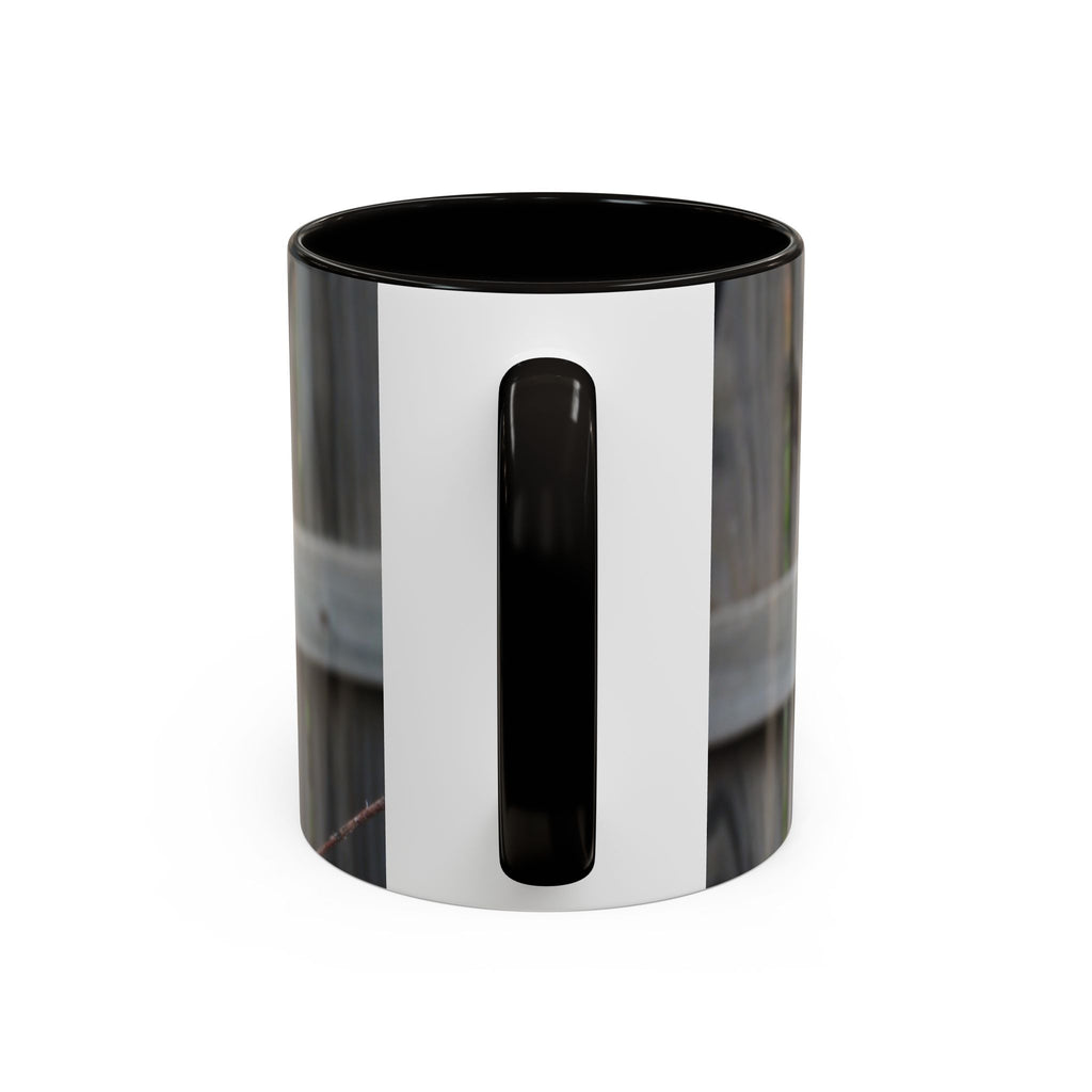 Hawk Photo Mug (11oz/15oz) — Wildlife Coffee Cup with Sharp-Shinned Hawk Image