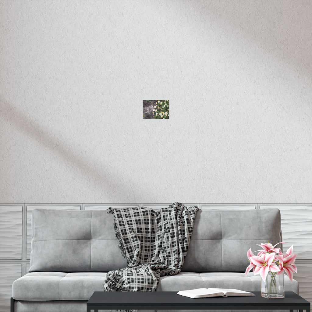 Daisy Cluster Poster
