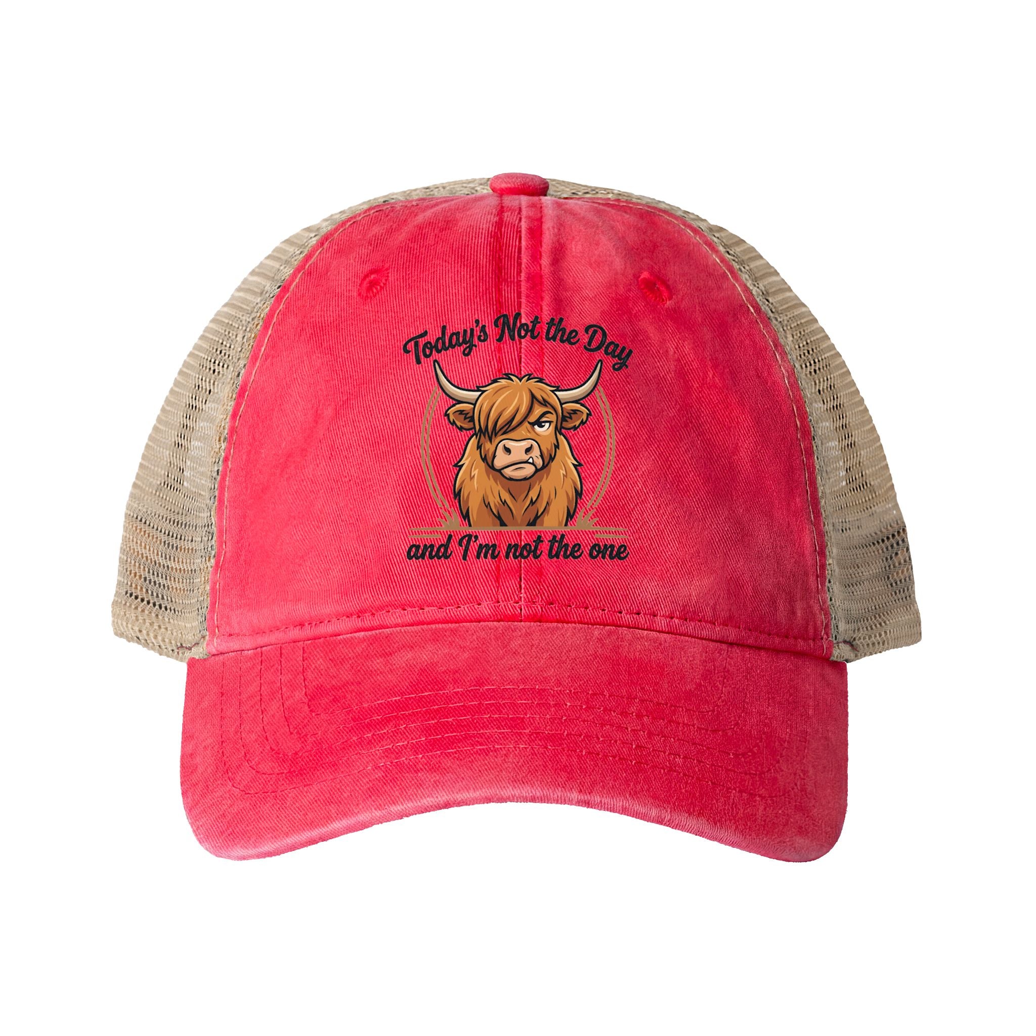Todays not the Day Women's Washed Mesh-Back Cap