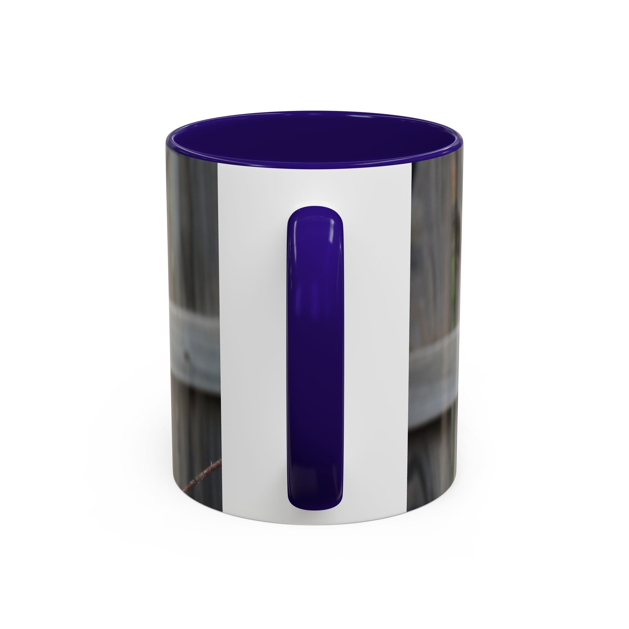 Hawk Photo Mug (11oz/15oz) — Wildlife Coffee Cup with Sharp-Shinned Hawk Image