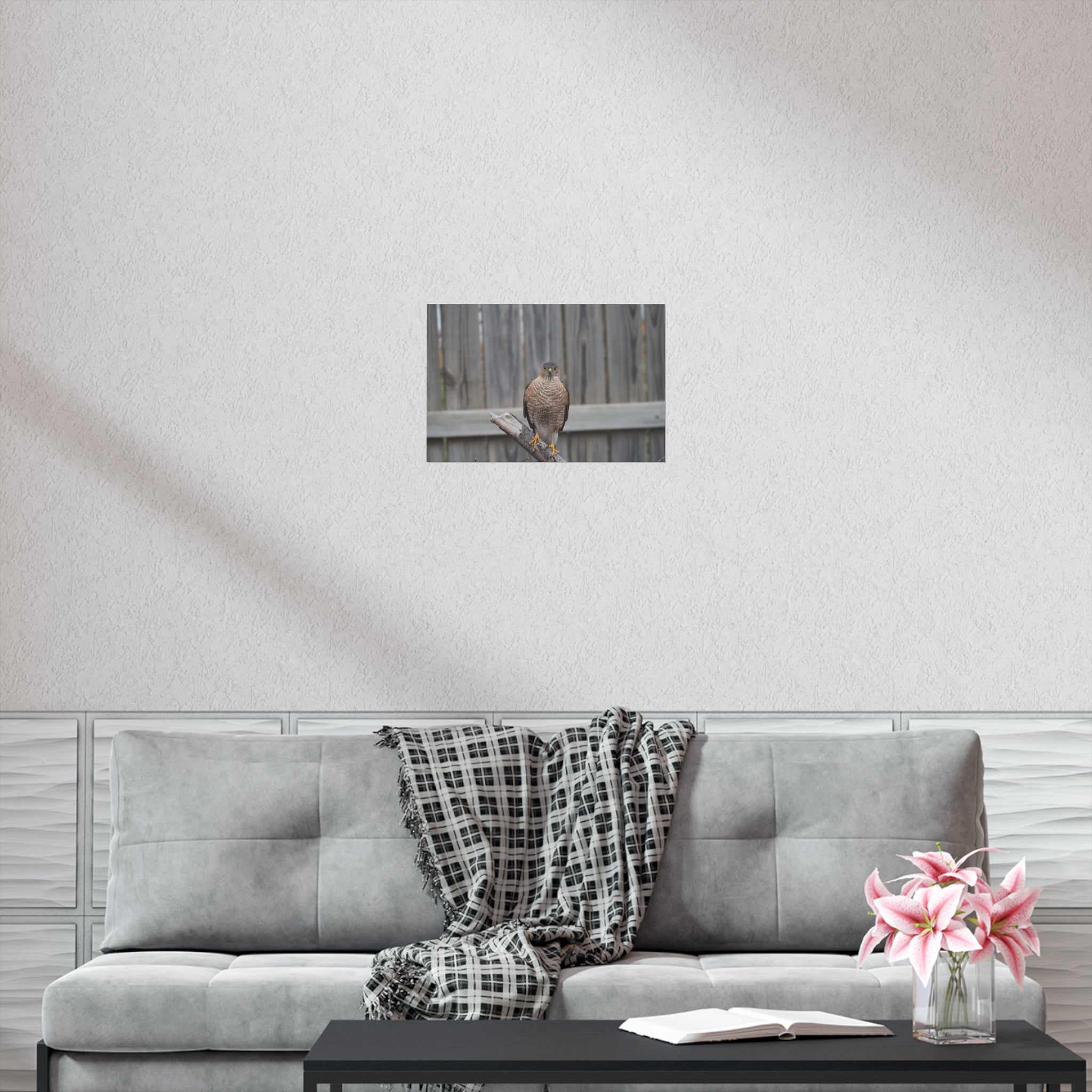Sharp-Shinned Hawk Photo Poster — Wild Bird Wall Art Print