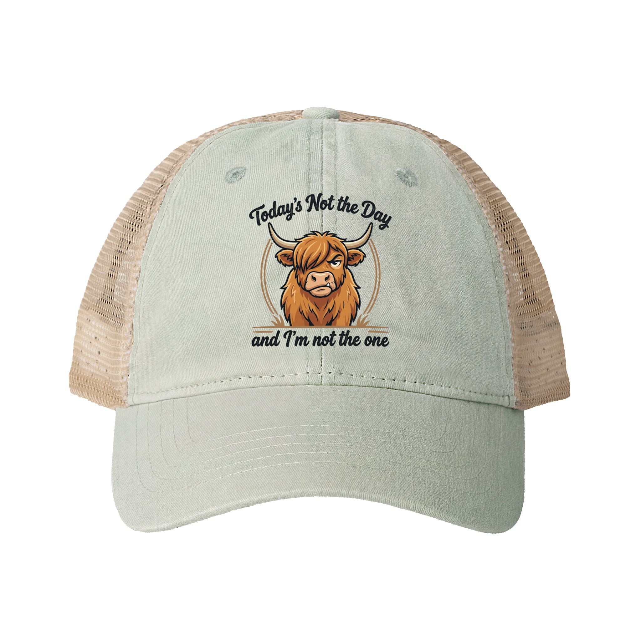 Todays not the Day Women's Washed Mesh-Back Cap