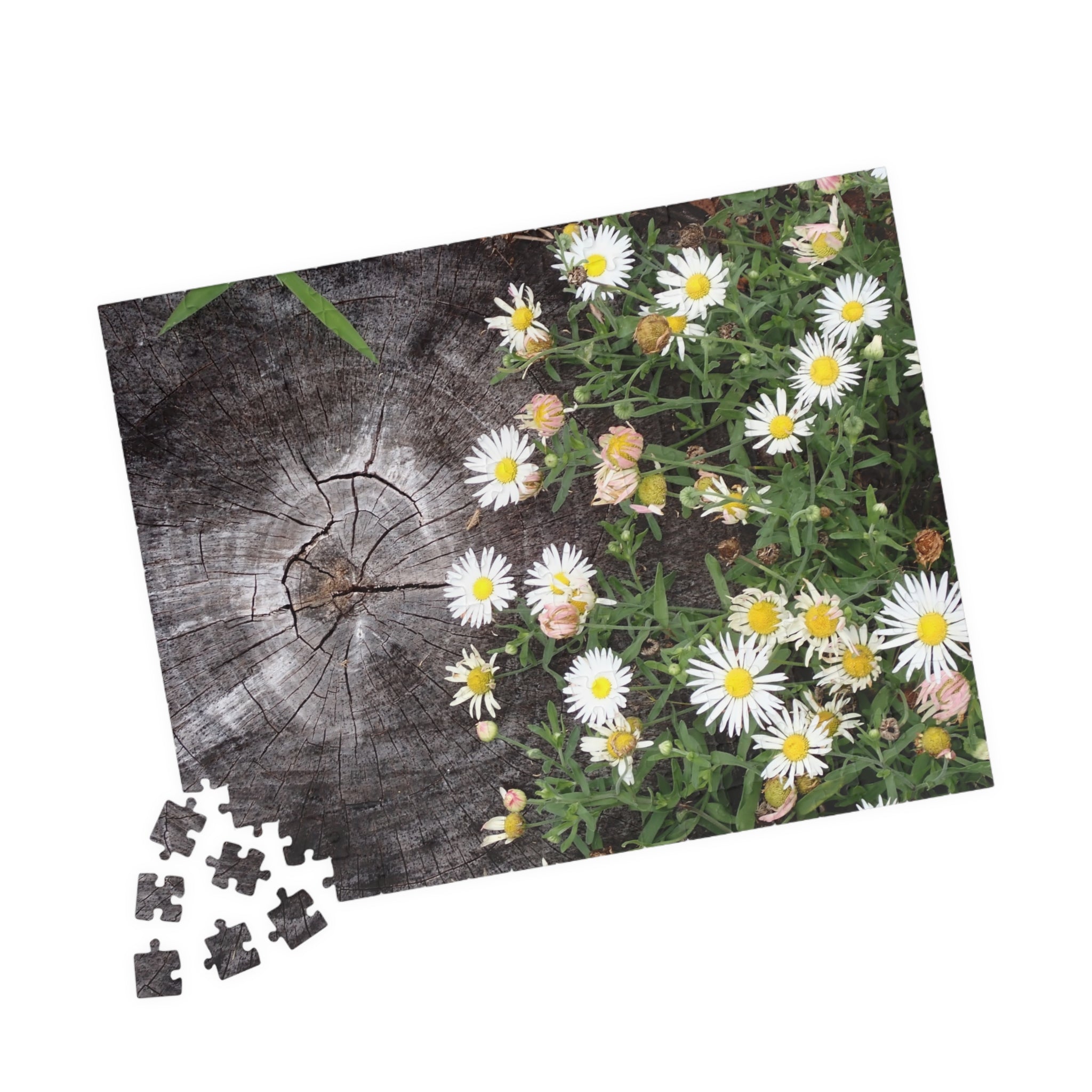 Daisy Garden Puzzle — Rustic Wood & Wildflower Jigsaw (110–1014 pcs)