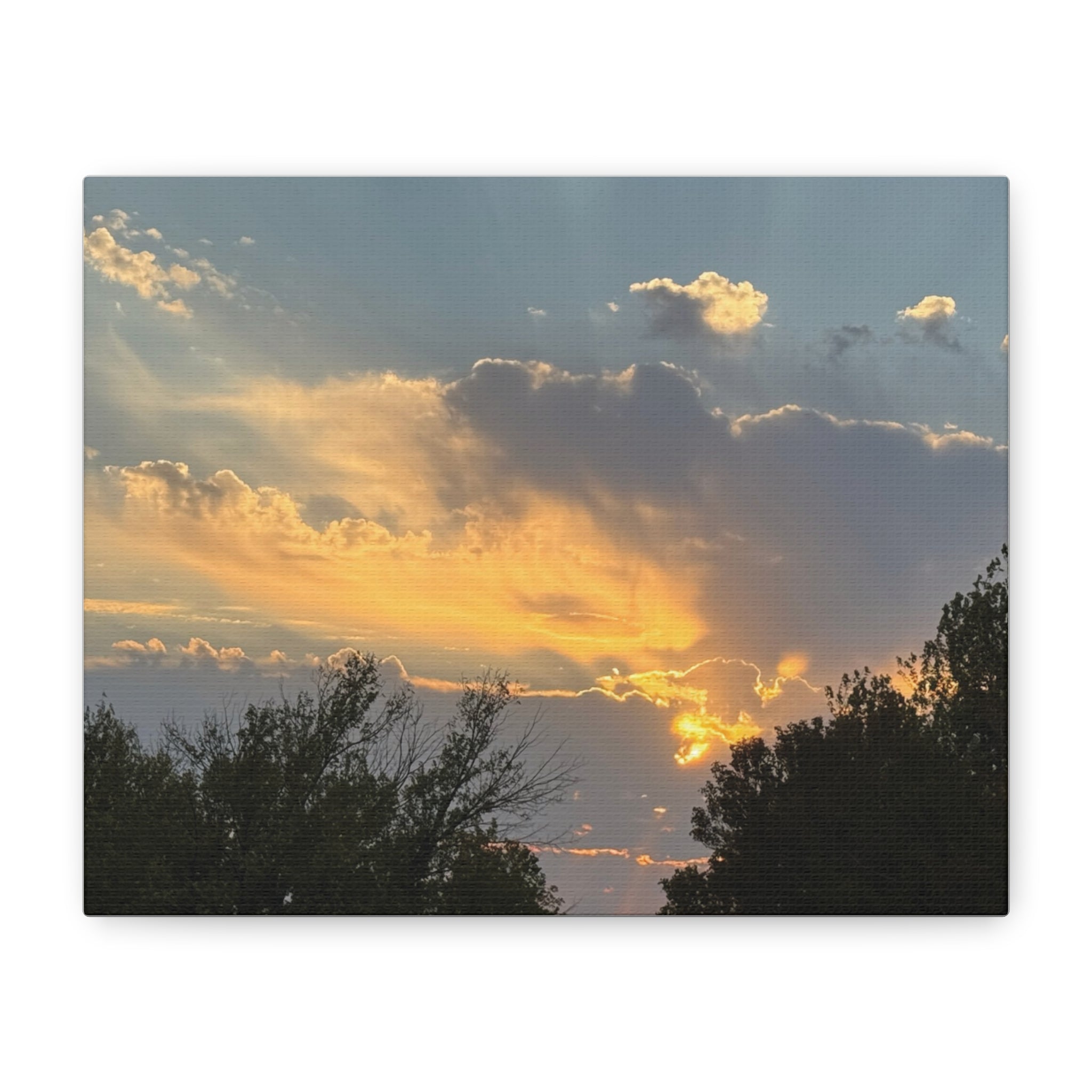 Matte Canvas, Stretched, 1.25"