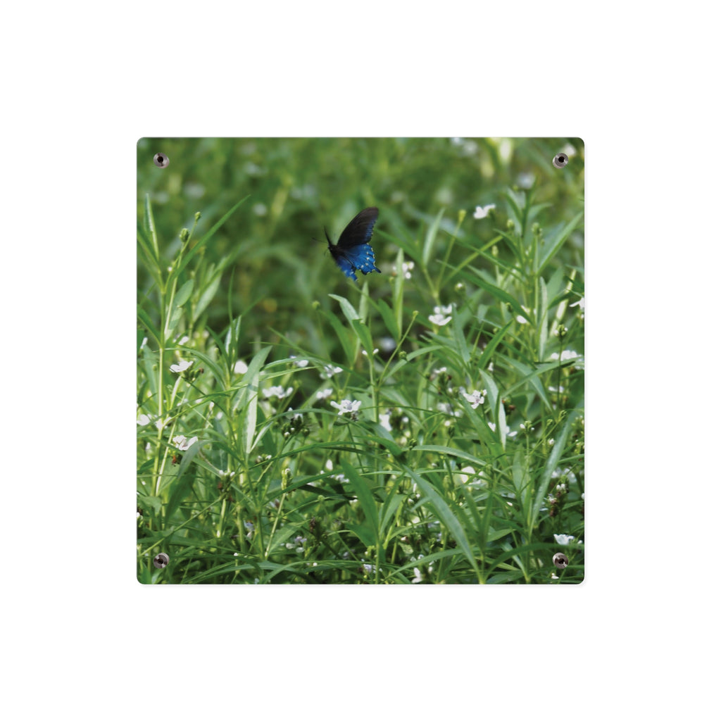 Acrylic Wall Art Panel – Blue Butterfly in Wildflower Meadow