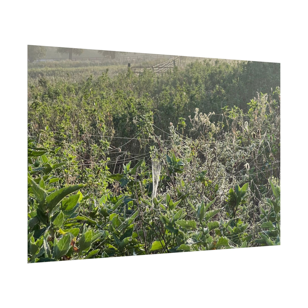 Morning Meadow Rolled Poster — Misty Wildflower Landscape Wall Art
