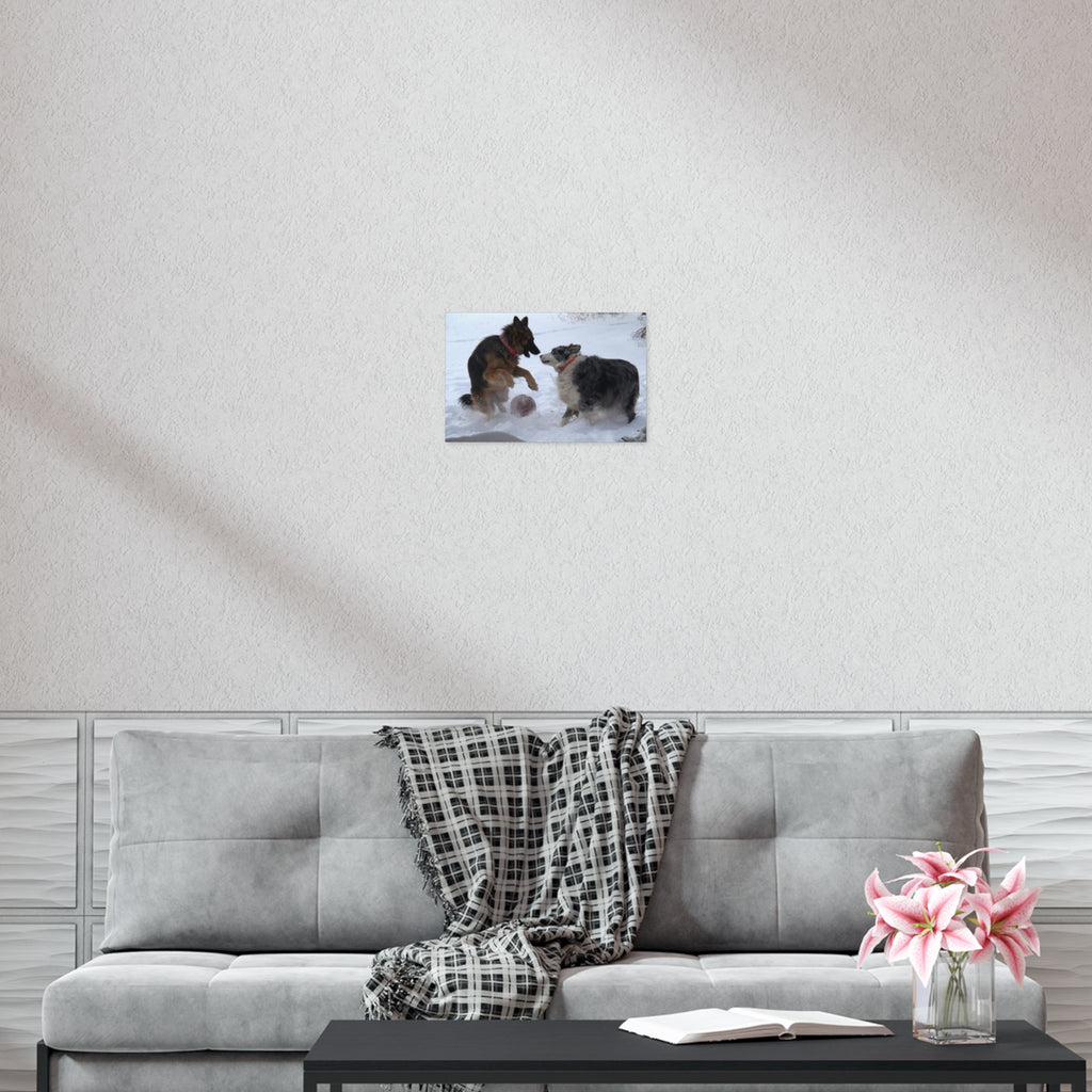 Dog Playful Winter Photo Poster — Two Dogs Playing in Snow Wall Art