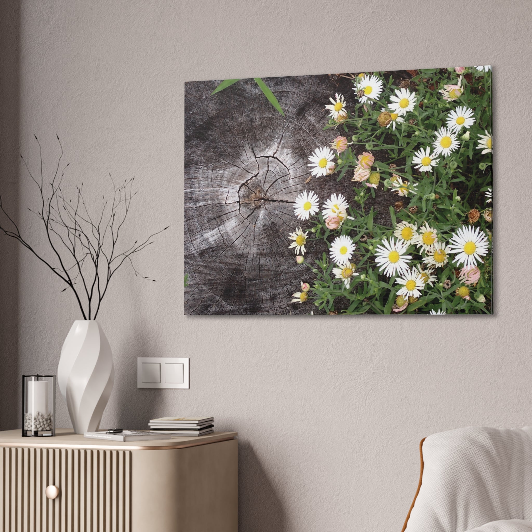 Daisies on Weathered Wood Canvas Wall Art