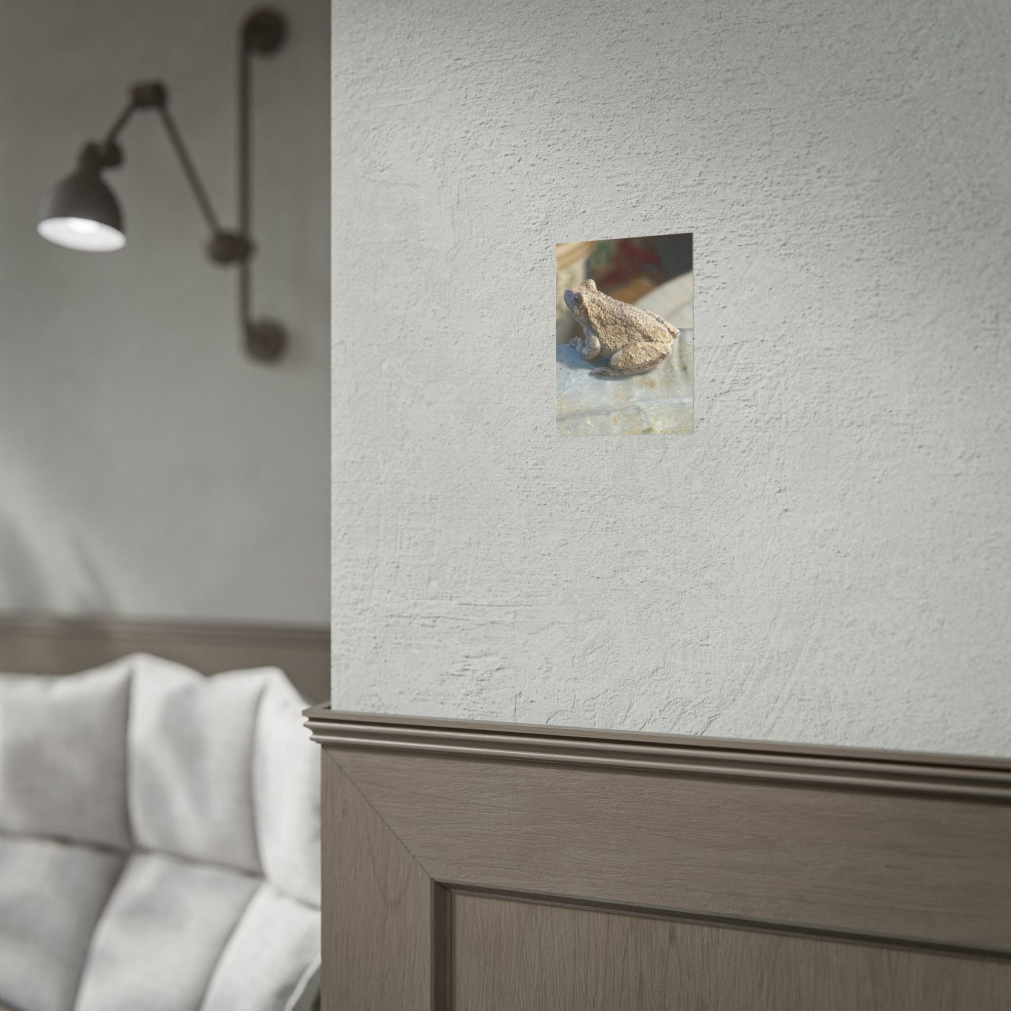 Tree Frog Photography Poster – Nature Wildlife Rolled Wall Art