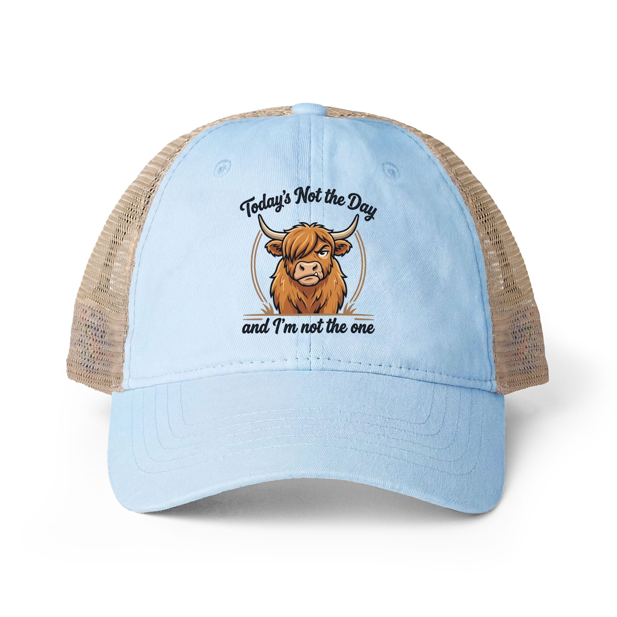 Todays not the Day Women's Washed Mesh-Back Cap