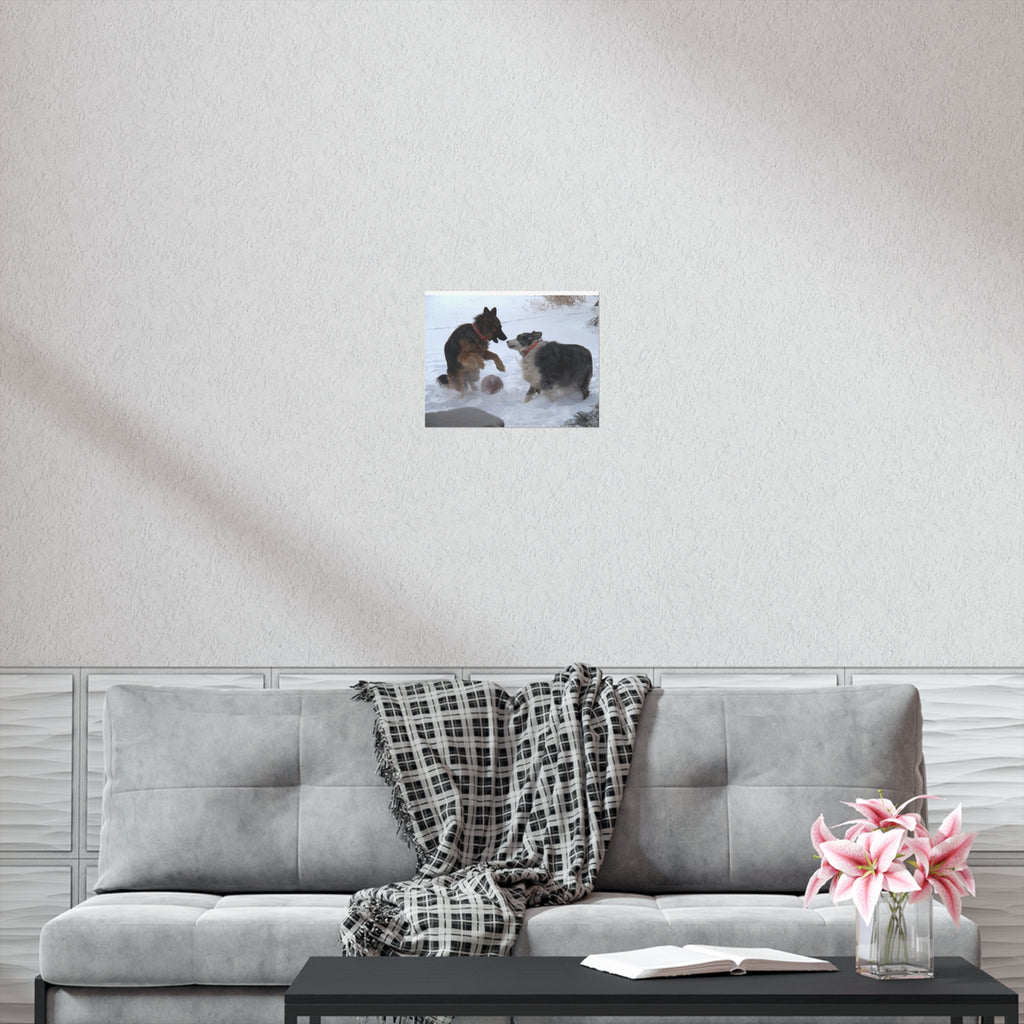 Dog Playful Winter Photo Poster — Two Dogs Playing in Snow Wall Art