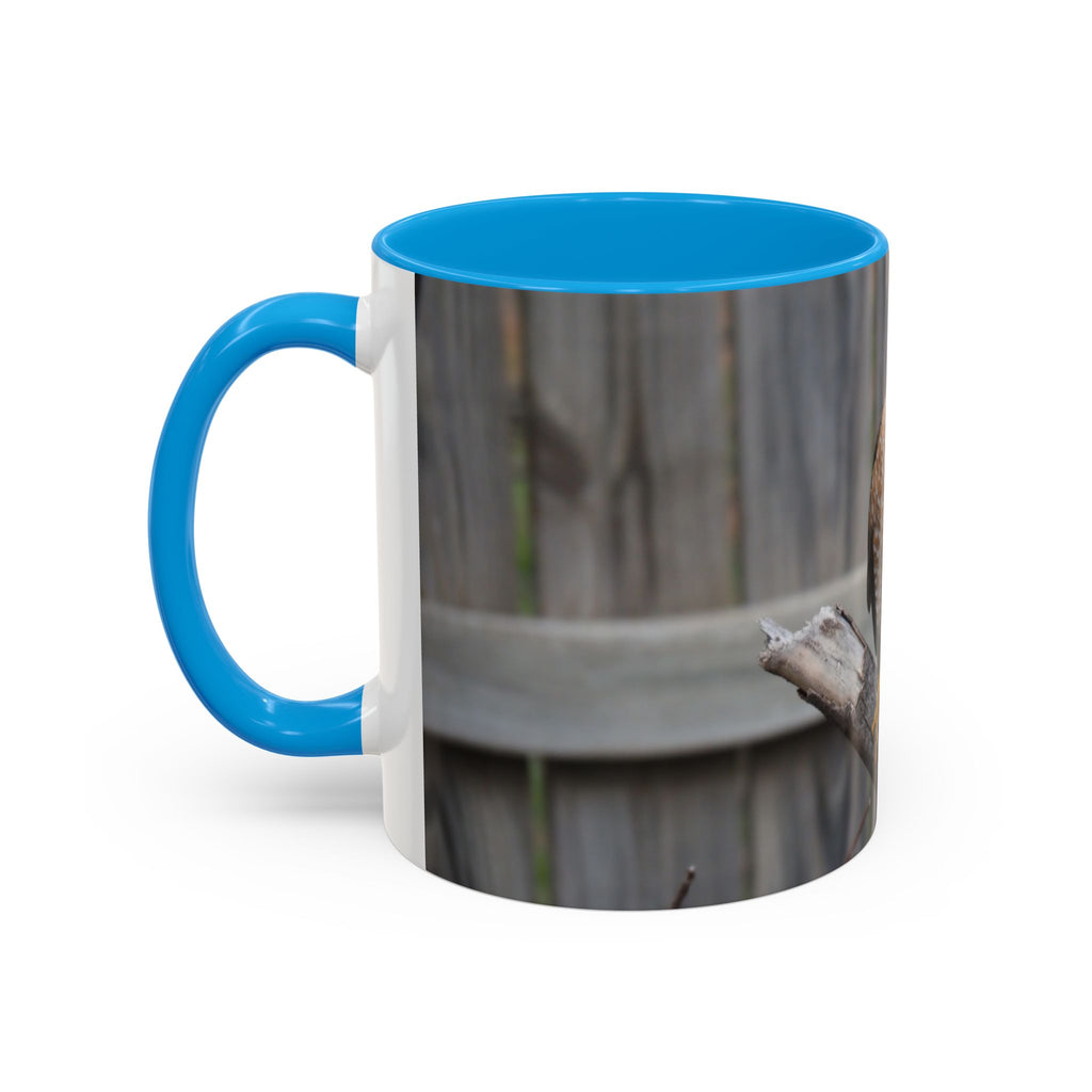 Hawk Photo Mug (11oz/15oz) — Wildlife Coffee Cup with Sharp-Shinned Hawk Image