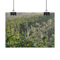 Morning Meadow Rolled Poster — Misty Wildflower Landscape Wall Art