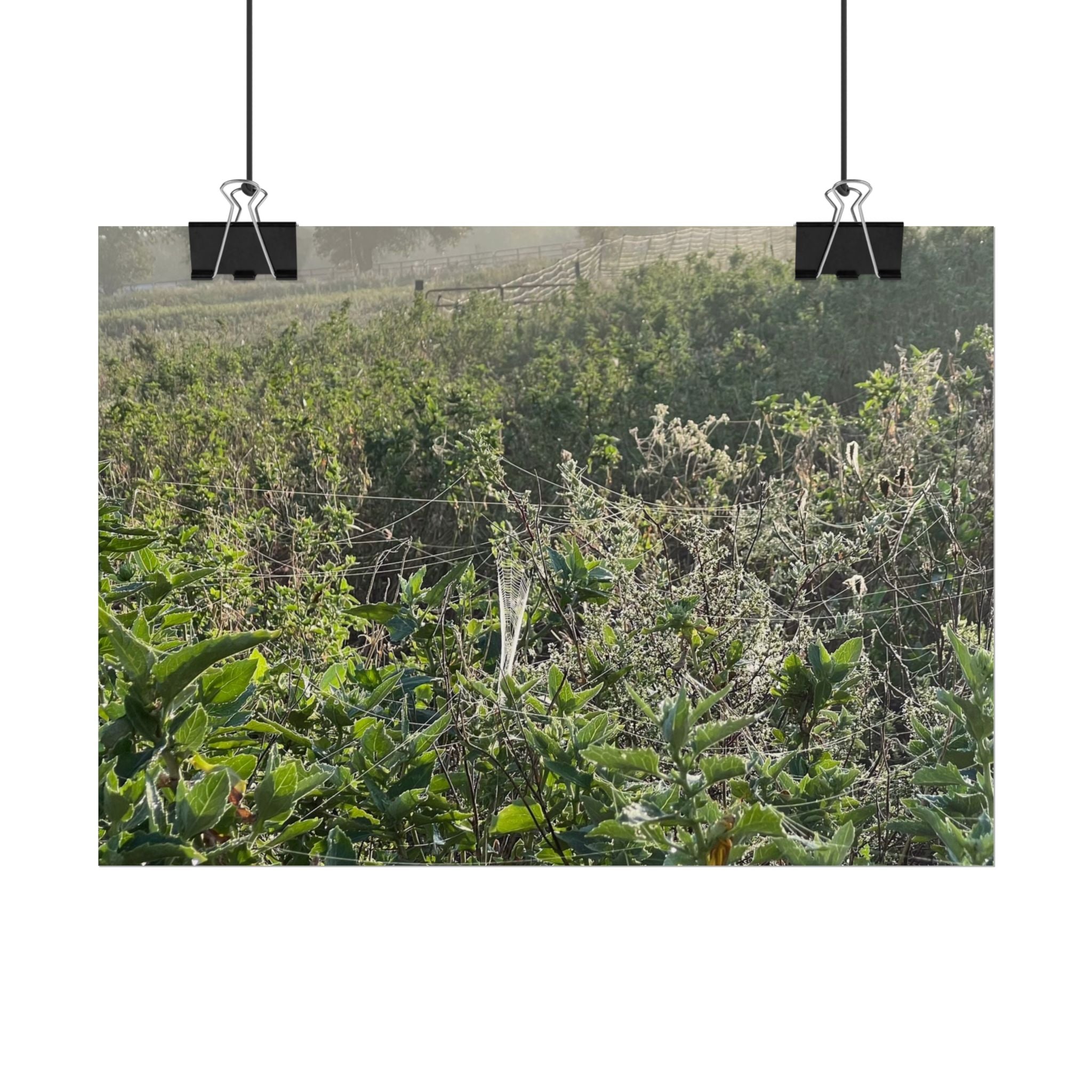 Morning Meadow Rolled Poster — Misty Wildflower Landscape Wall Art