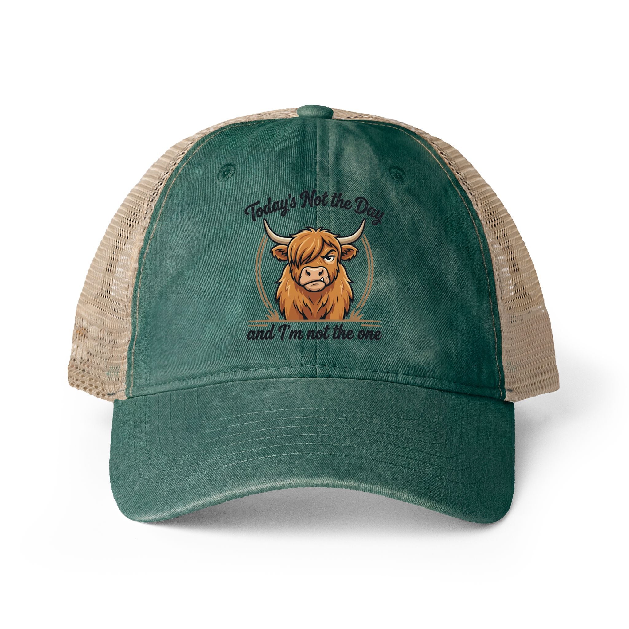 Todays not the Day Women's Washed Mesh-Back Cap
