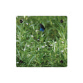Acrylic Wall Art Panel – Blue Butterfly in Wildflower Meadow