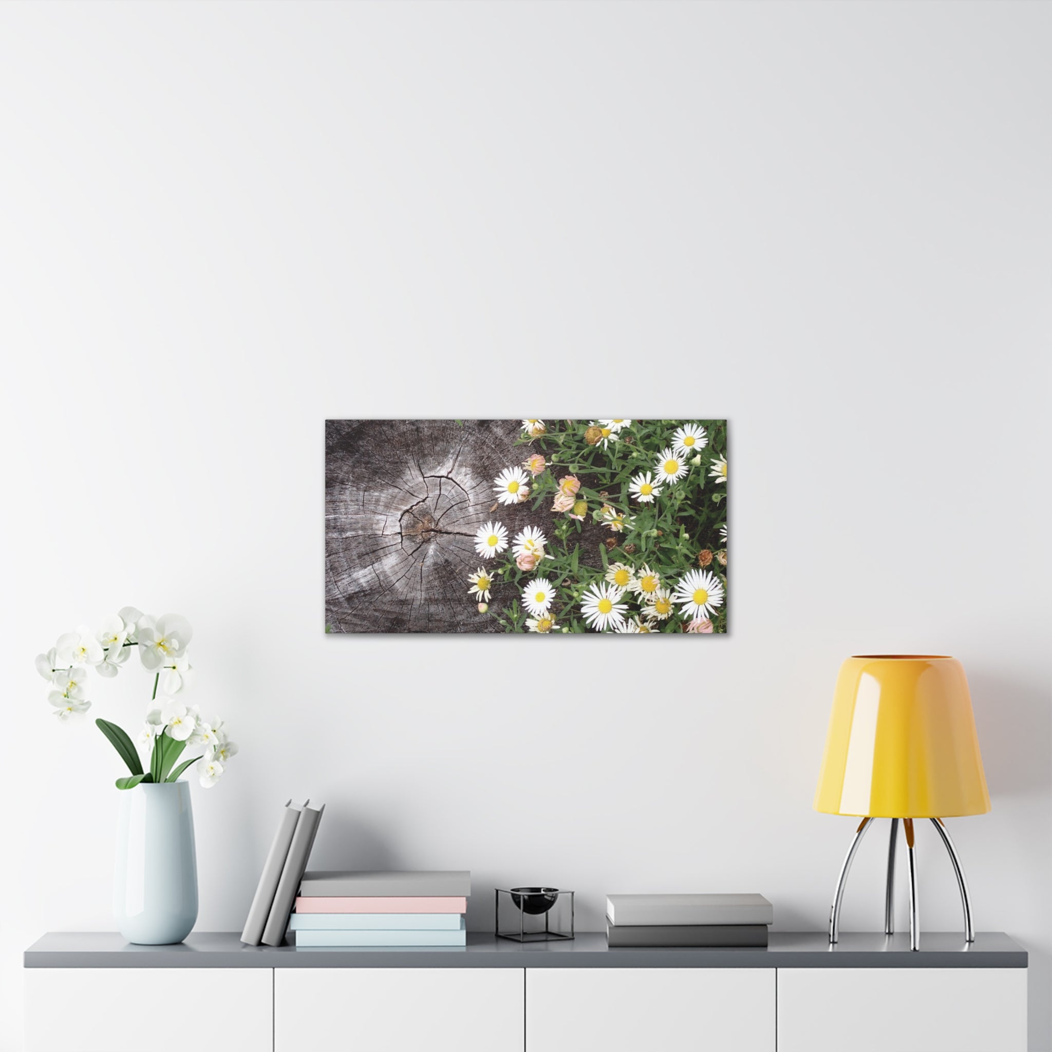 Daisies on Weathered Wood Canvas Wall Art