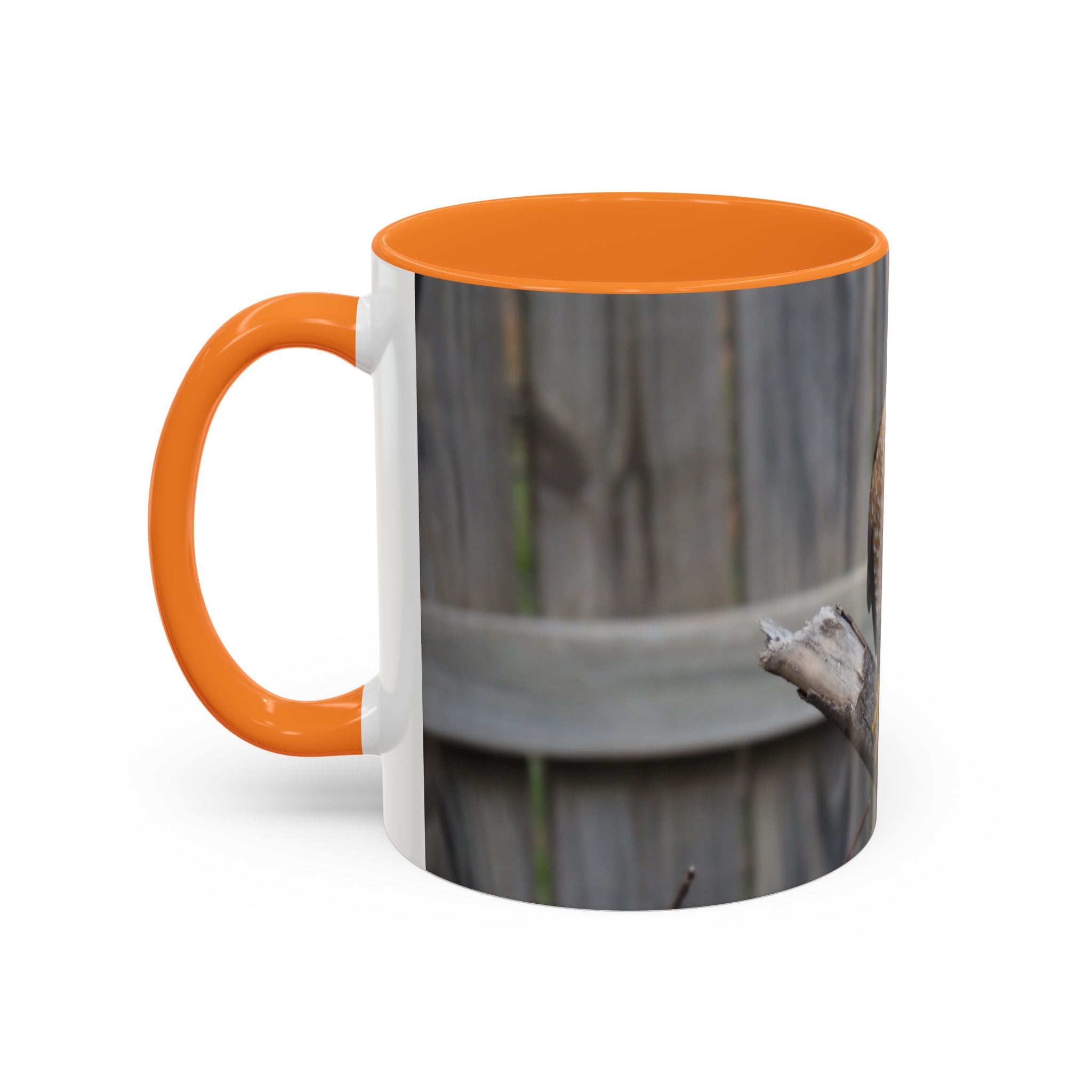 Hawk Photo Mug (11oz/15oz) — Wildlife Coffee Cup with Sharp-Shinned Hawk Image