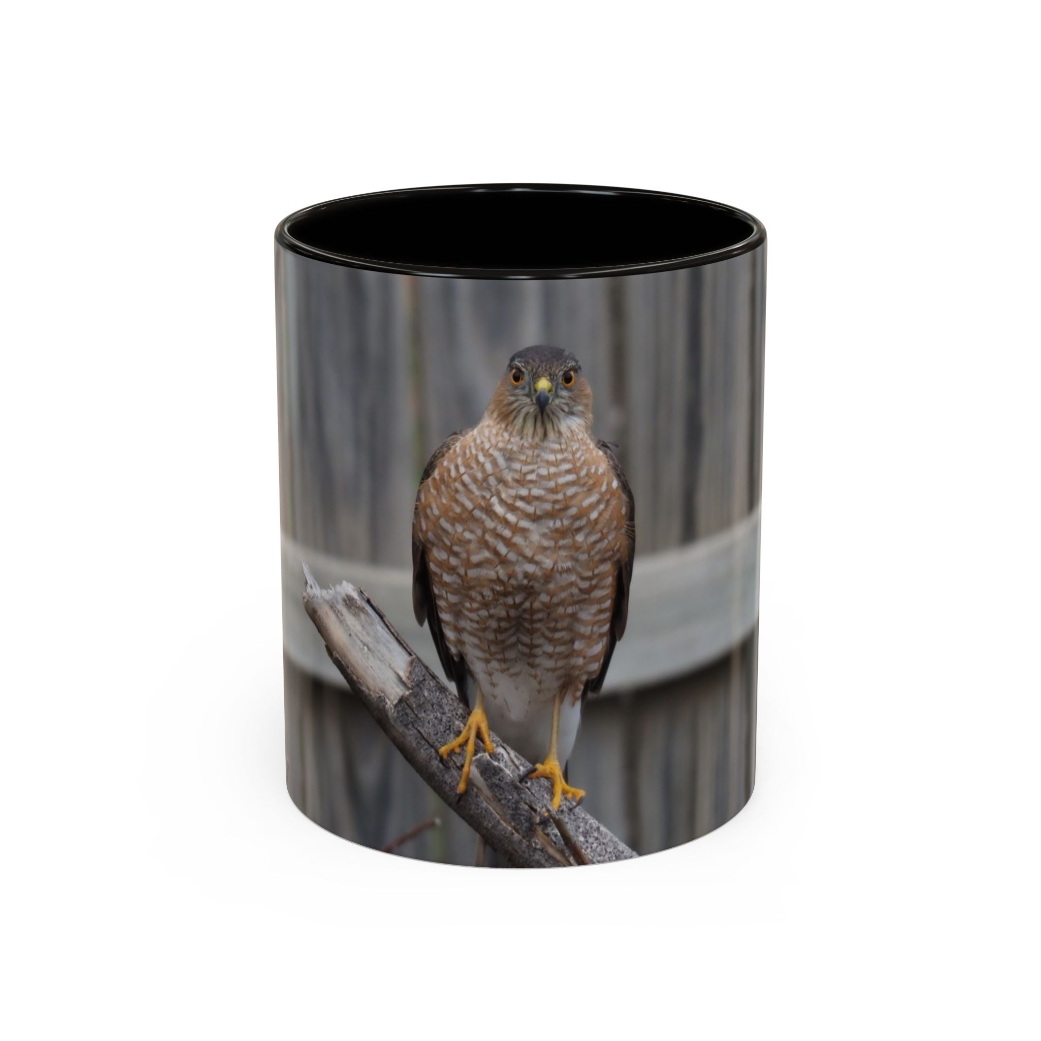 Hawk Photo Mug (11oz/15oz) — Wildlife Coffee Cup with Sharp-Shinned Hawk Image