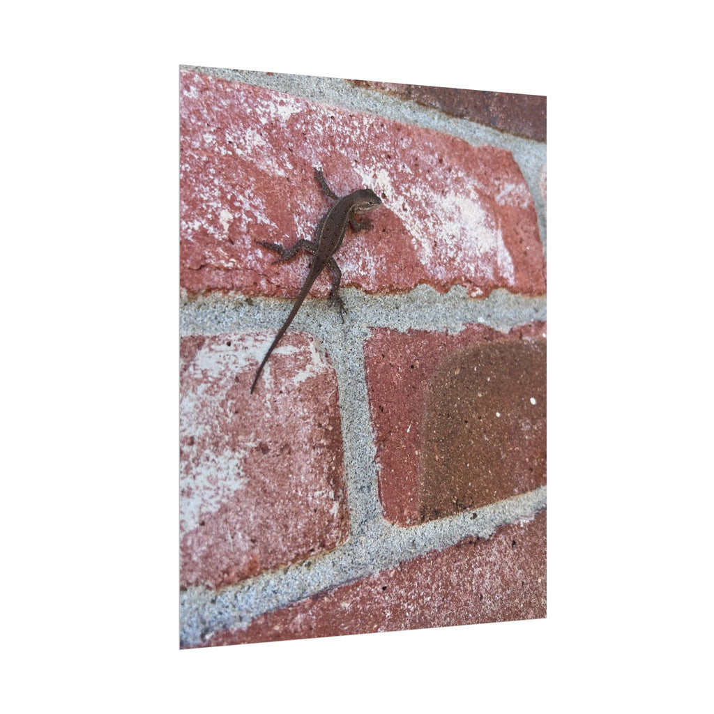 Lizard on Brick Wall Rolled Poster — Nature Photography Wall Art