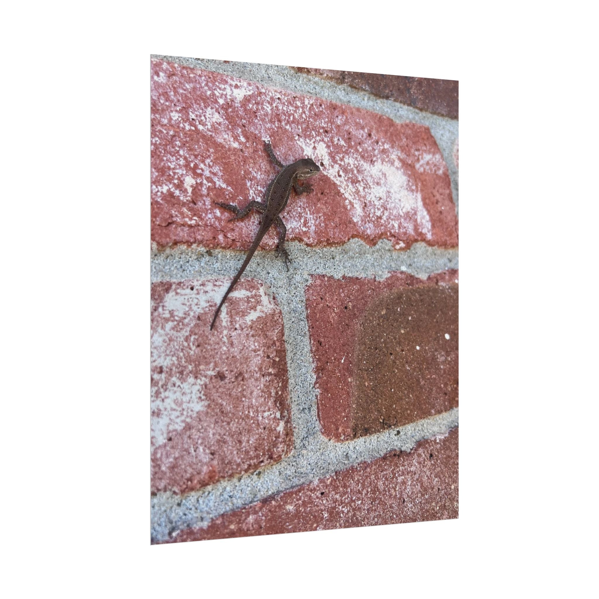 Lizard on Brick Wall Rolled Poster — Nature Photography Wall Art