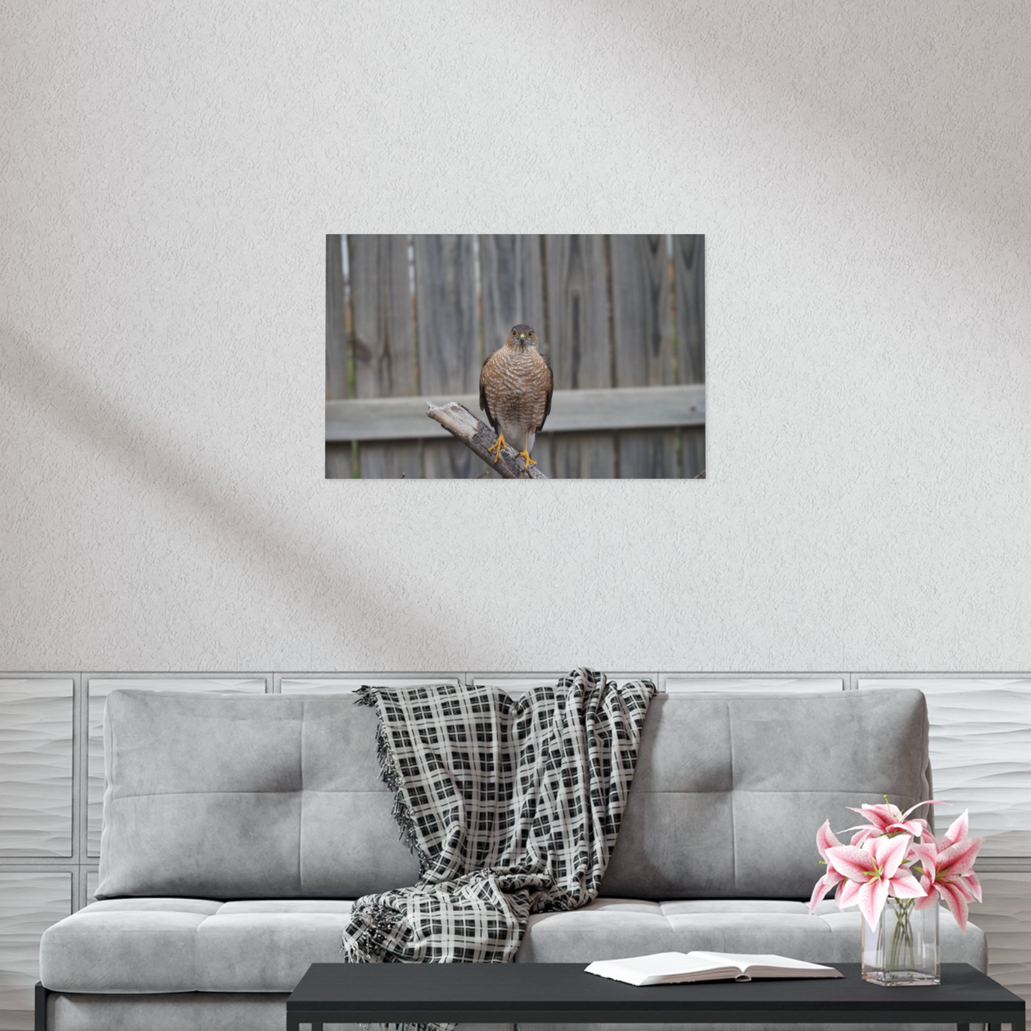 Sharp-Shinned Hawk Photo Poster — Wild Bird Wall Art Print